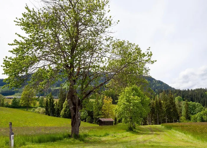 Peaceful In The Brixental Apartamento