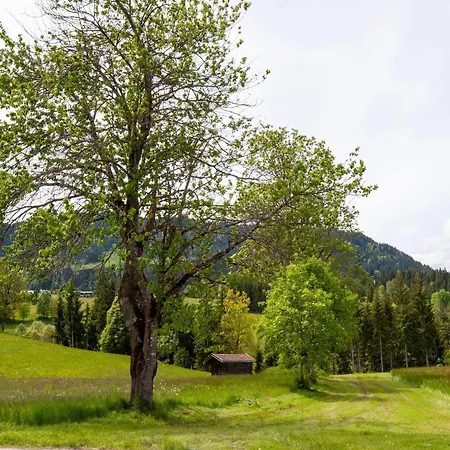 Peaceful In The Brixental Daire